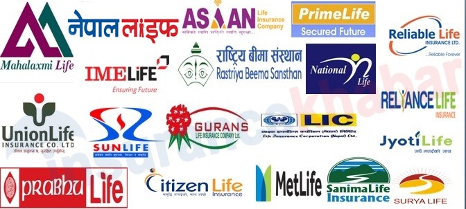 बीमालेख धितोमा कूल ४५ अर्ब ७६ करोड कर्जा प्रवाह, कुन कम्पनीको कति ?